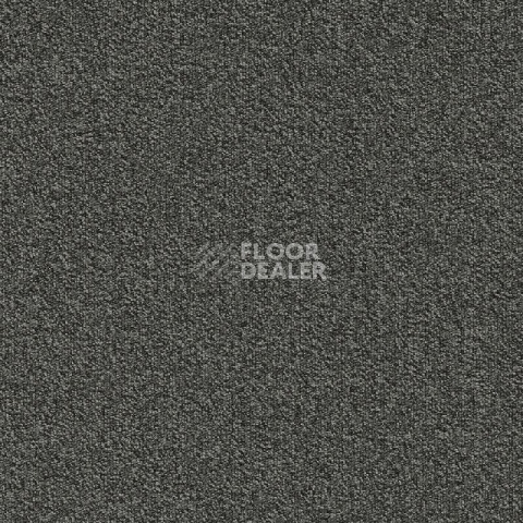 Ковровая плитка Modulyss Millennium Nxtgen Millennium Nxtgen 989 фото 1 | FLOORDEALER